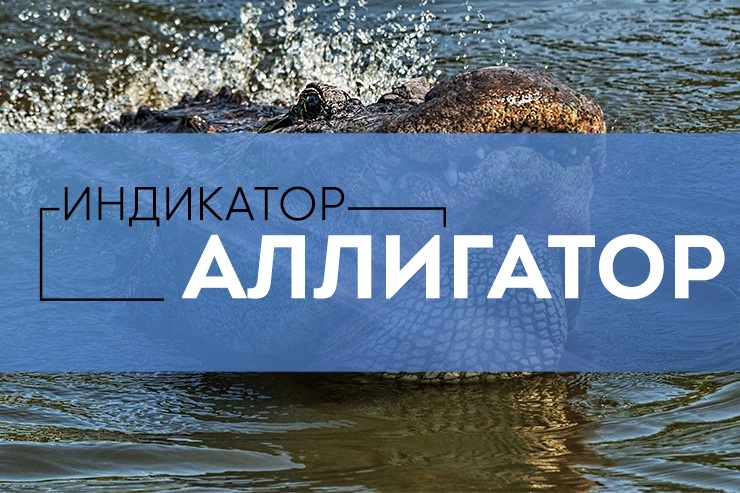 ст3.jpg