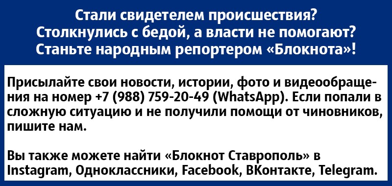 WhatsApp Image 2021-12-22 at 14.42.03.jpeg