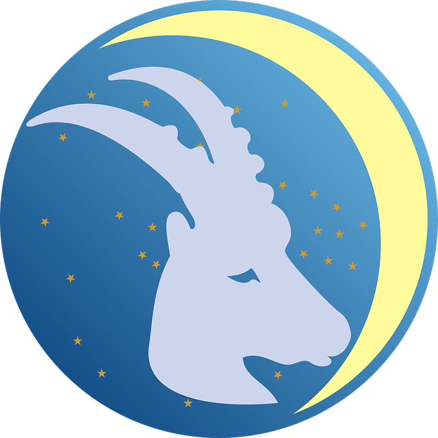 capricorn-2542608_640.png