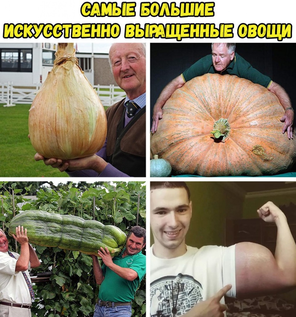 Овощи.jpg